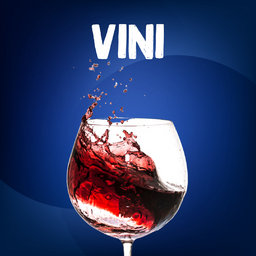 VINI