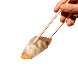 GYOZA