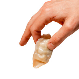 COMING SOON - GYOZA