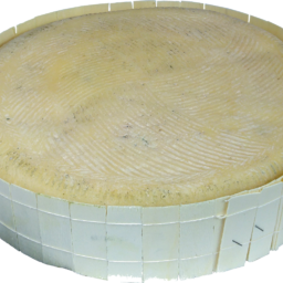 Pizze con Morlacco del Grappa 🇮🇹