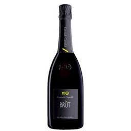 BOLLICINE