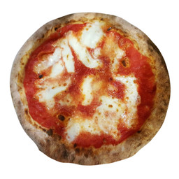 MARGHERITA