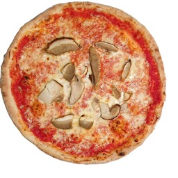 Porcini