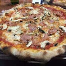 COTTO PORCINI