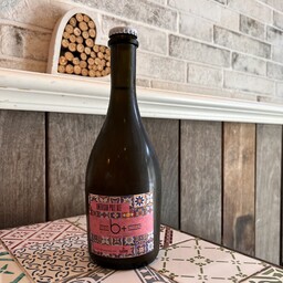 AMERICA PALE ALE 50 cl