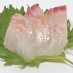 Sashimi Branzino