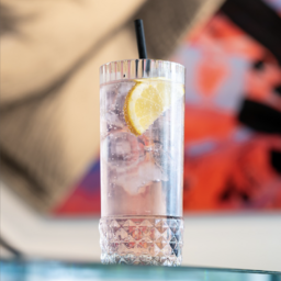 Gin Tonic