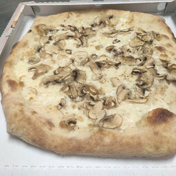 Funghi Bianca