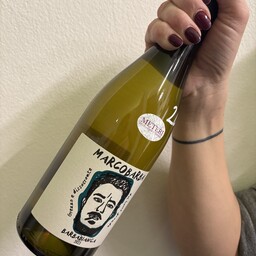 Barbabianca 2023-MarcoBarba