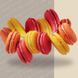 Macarons Singolo