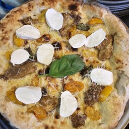 Porcino al Sole 🌞