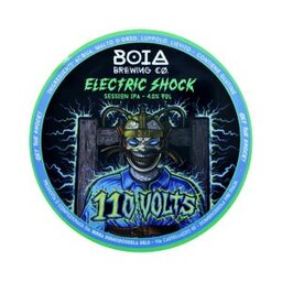 BIRRA ELECTRIC 110V SESSION IPA