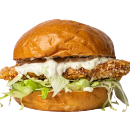 Chicken burger VIBES
