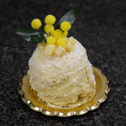 Mimosa