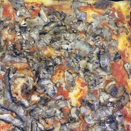 Funghi rossa
