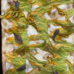 Fiori di zucca