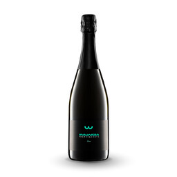 Franciacorta Brut 75 cl