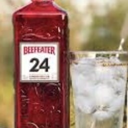 Beefeater 24  Tonic