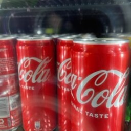 Coca cola in lattina 33cl 