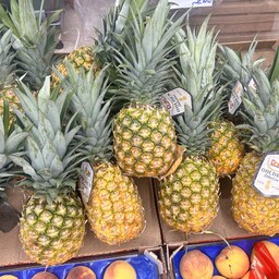 Ananas