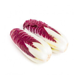 Radicchio Trevisana