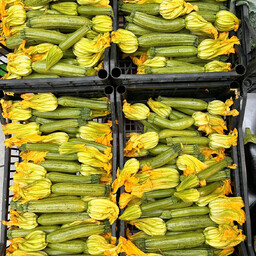 Zucchine con fiore