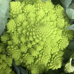 Romanesco