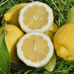 Limoni Naturali