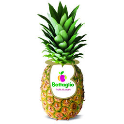 Ananas Dolcissima