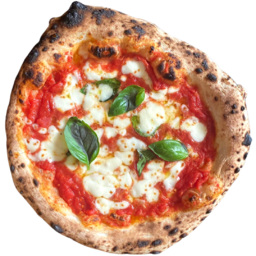 MARGHERITA