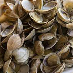 SAUTE' DI VONGOLE