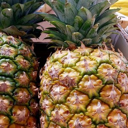 Ananas