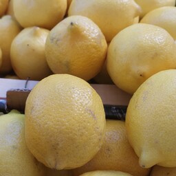 Limoni