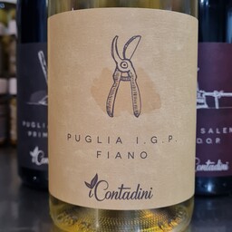 Vino Fiano Puglia I.G.P. 75 cl. 13% vol
