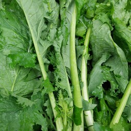 Cime di Rapa