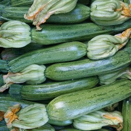 Zucchine Chiare