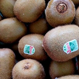 Kiwi Zespri