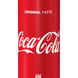 Coca Cola Lattina 