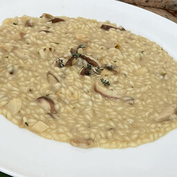 RISOTTO PORCINI E TALEGGIO - Senza glutine