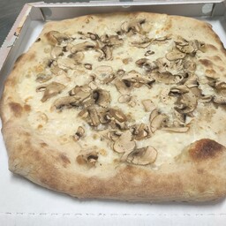 Funghi Bianca 