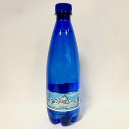 ACQUA FRIZZANTE 1 LT - ALISEA