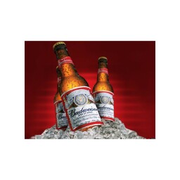 BIRRA BUD 33cl