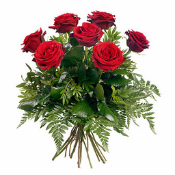 7 rose rosse