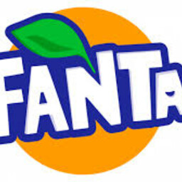 FANTA 33cl