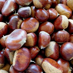 Castagne 