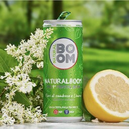 BIBITA NATURALBOOM FIORI DI SAMBUCO E LIMONE. 250ml