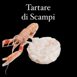 Tartare di Scampi 140 gr