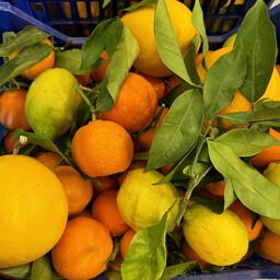 2kg Misto Arance limoni Clementine 🍊 🍋🍊Bio Calabresi 