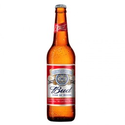 BUD 33cl       