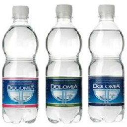 Kohlensäurehaltiges Mineralwasser 0,50 L